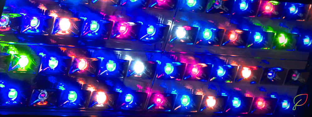 Horticoled - LED Couleur
