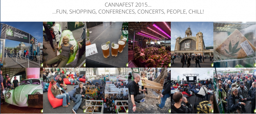 Cannafest 2015